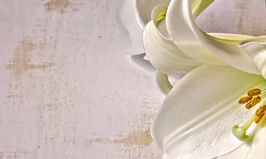 Marko Zakrajšek s.p. | Pogrebne storitve